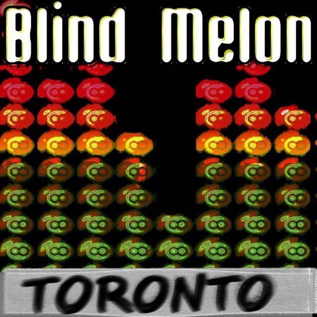 A Long Strange Trip to Canada cover