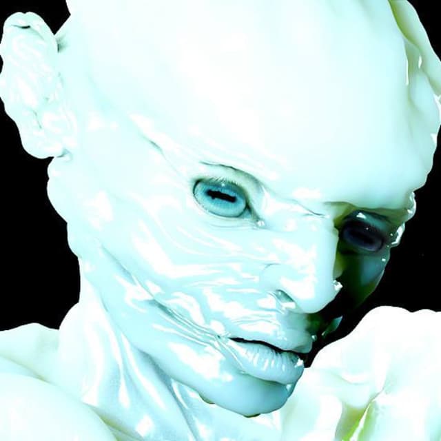 Sheep cover
