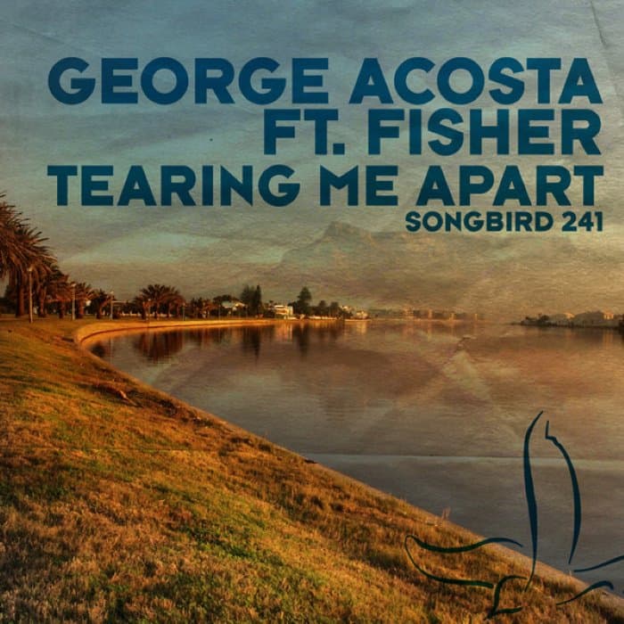 Tearing Me Apart cover