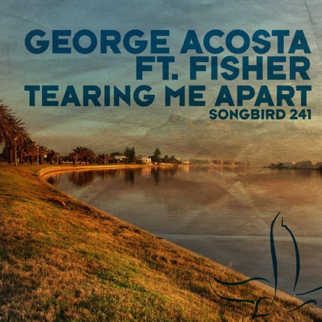 Tearing Me Apart cover