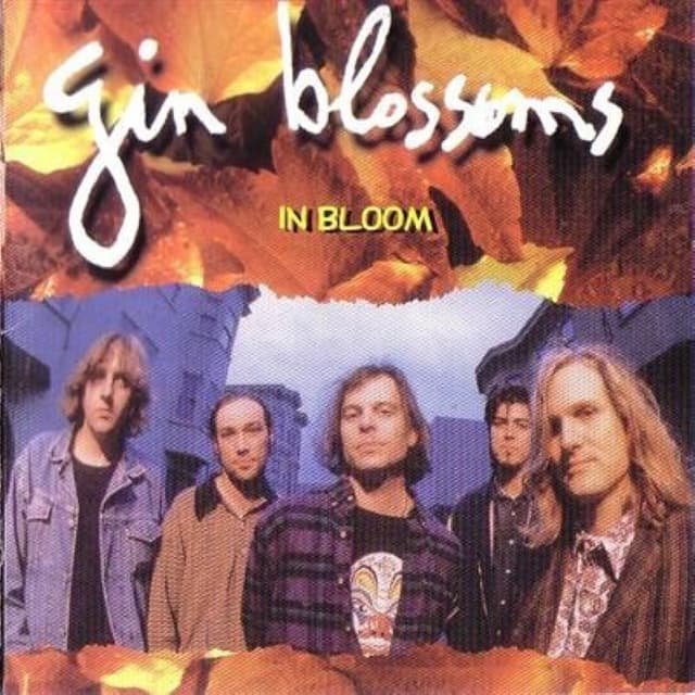 In Bloom cover
