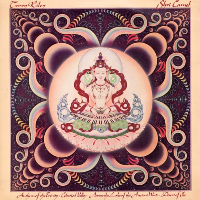 Shri Camel cover