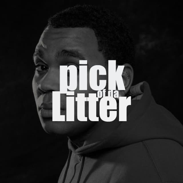 Pick of da Litter cover
