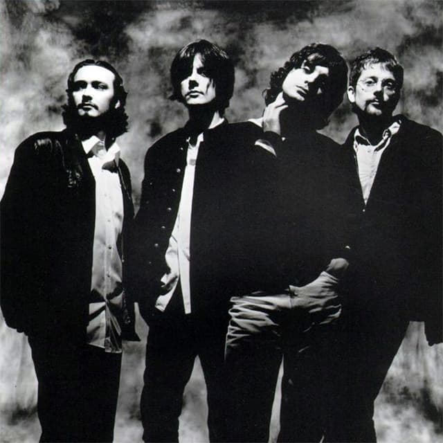 The Seahorses