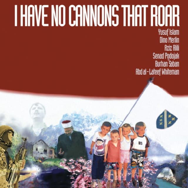 I Have No Cannons That Roar cover