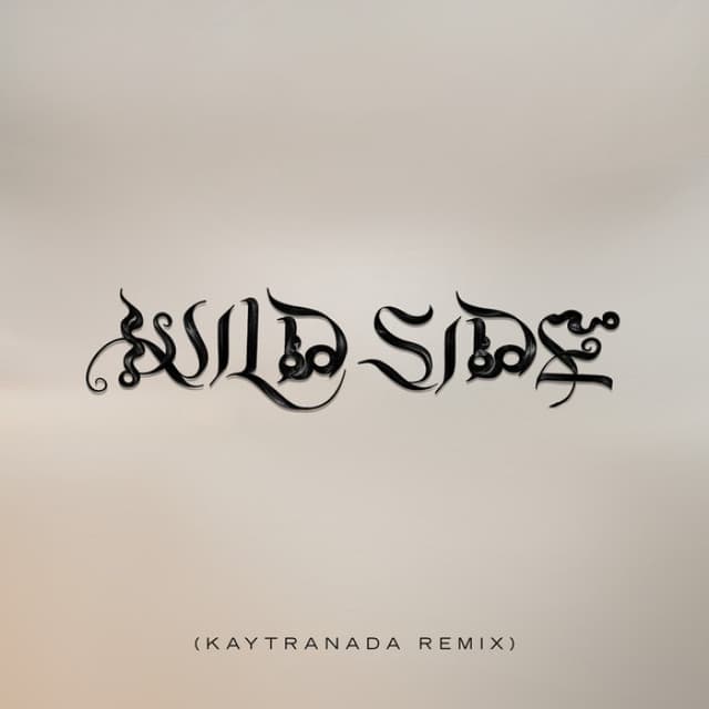 Wild Side (KAYTRANADA Remix) cover