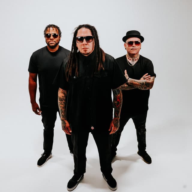 P.O.D.