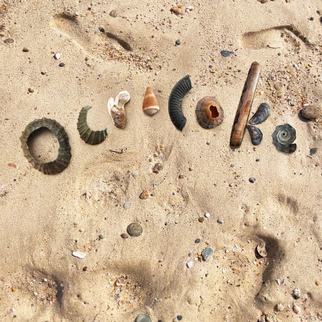 Ocracoke cover