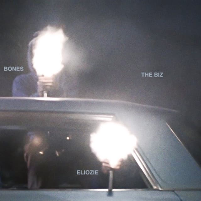 TheBiz cover