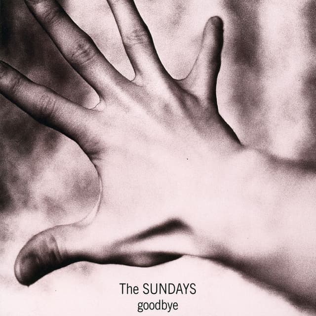 Goodbye album cover