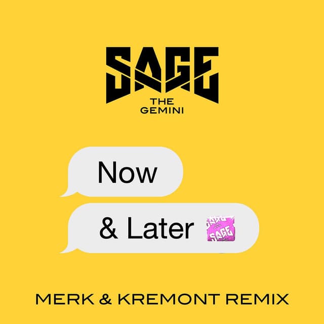 Now and Later (Merk & Kremont Remix) cover