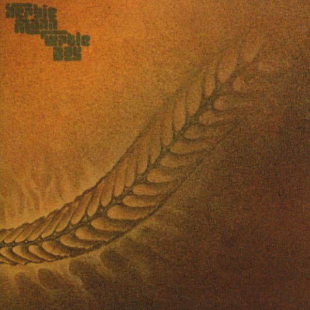 Turtle Bay cover