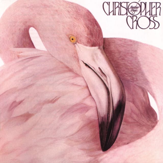 Another Page album cover