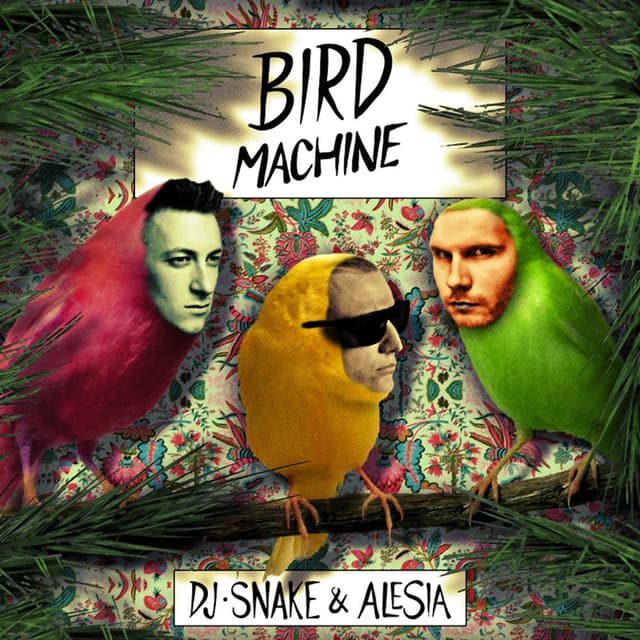 Bird Machine cover