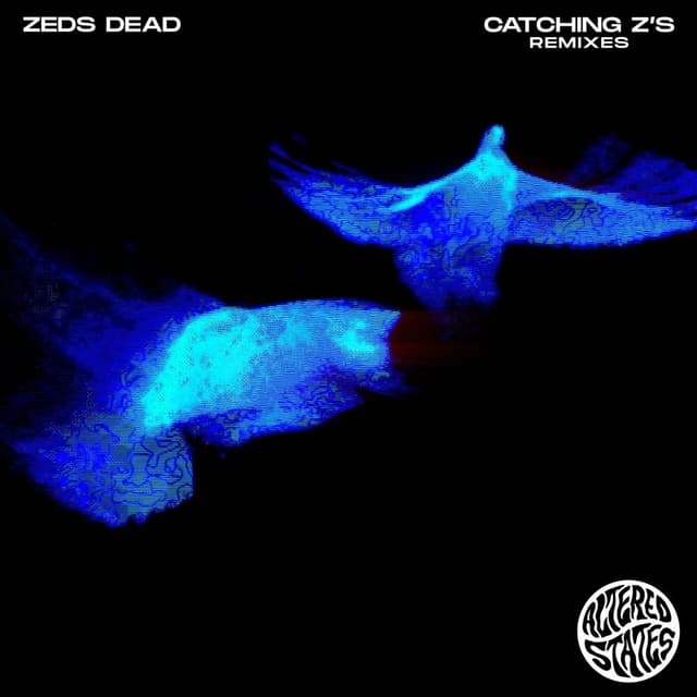 Catching Z's (Remixes) cover