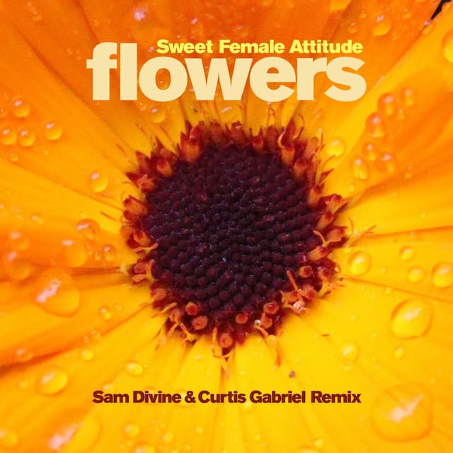 Flowers (Sam Divine & Curtis Gabriel Radio Edit) cover