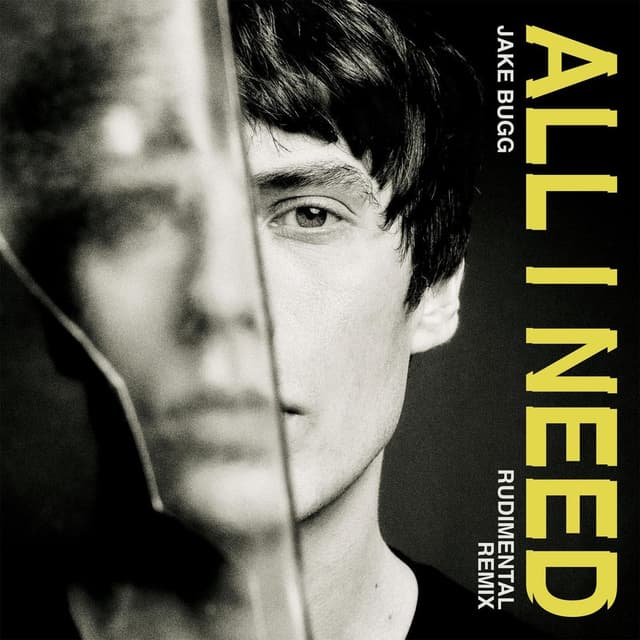 All I Need (Rudimental Remix) cover