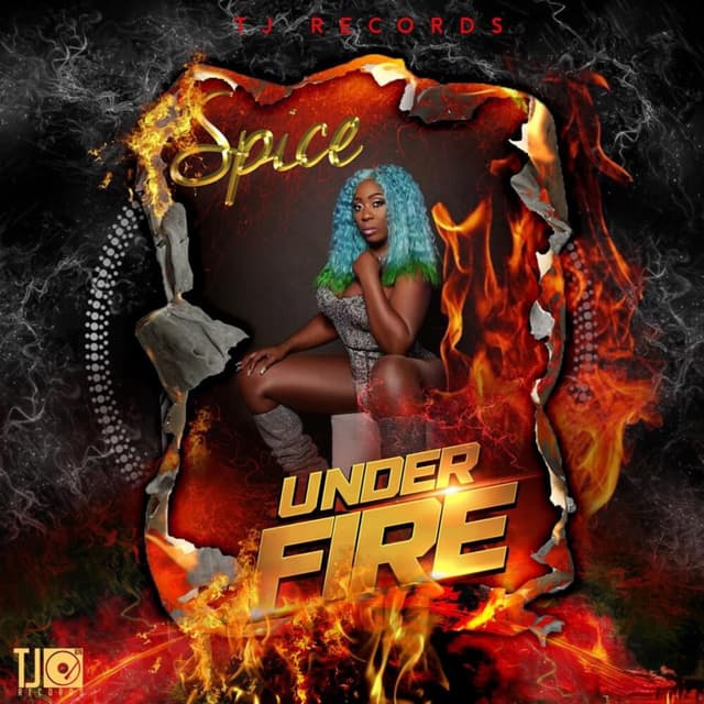 Under Fire cover