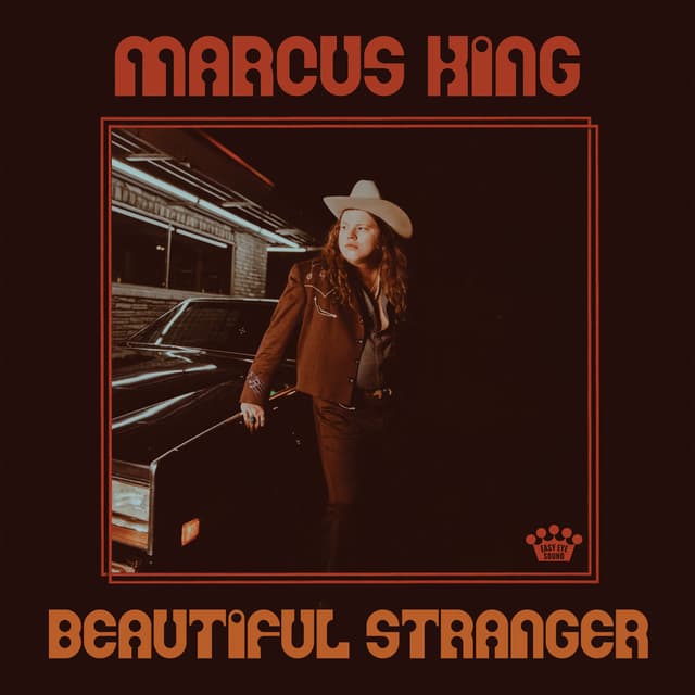 Beautiful Stranger cover