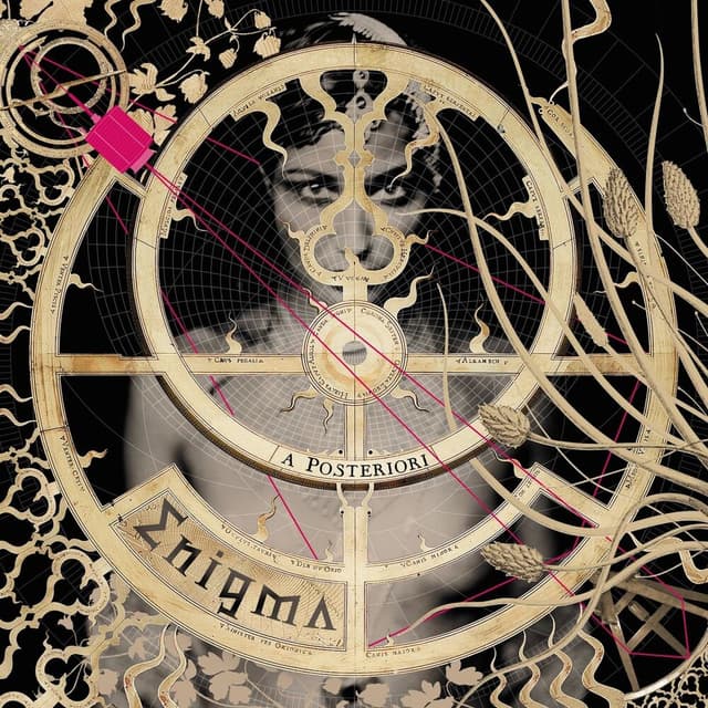 A Posteriori (Private Lounge Remix) cover