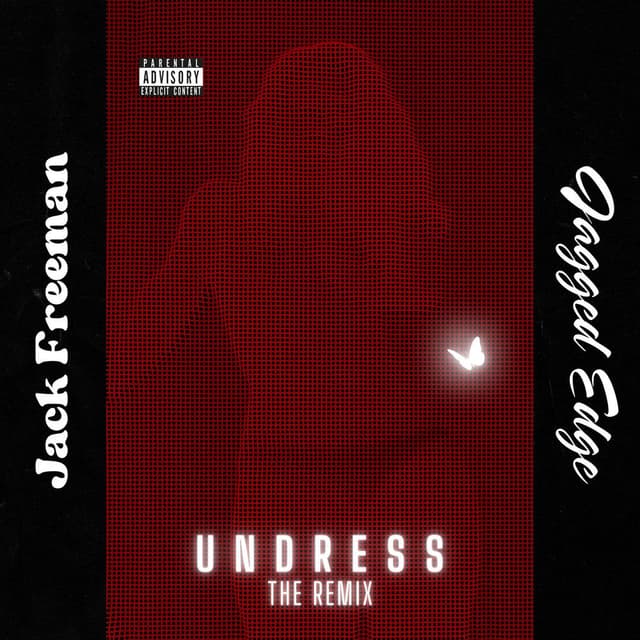 UNDRESS (Remix) album cover
