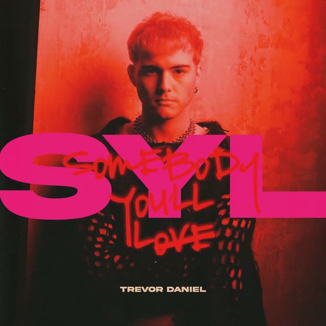 SYL cover