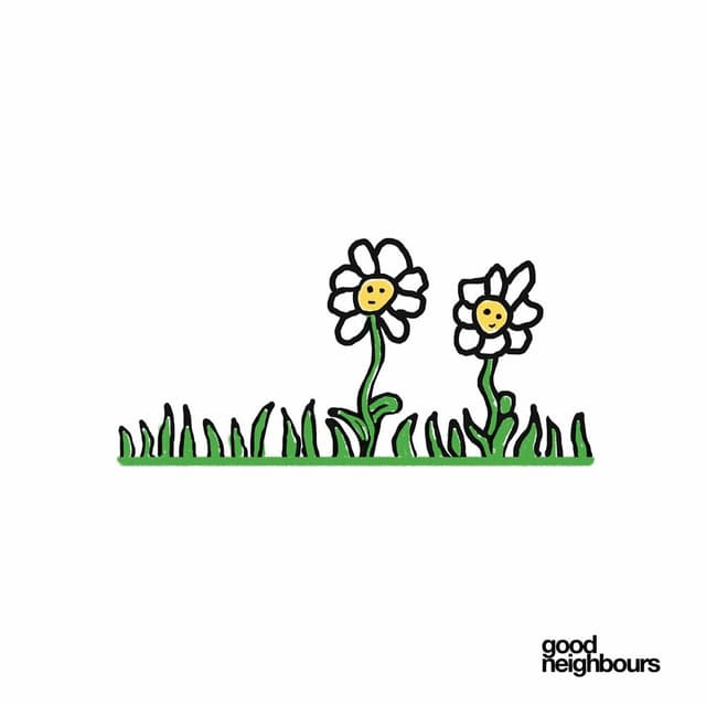 Daisies cover