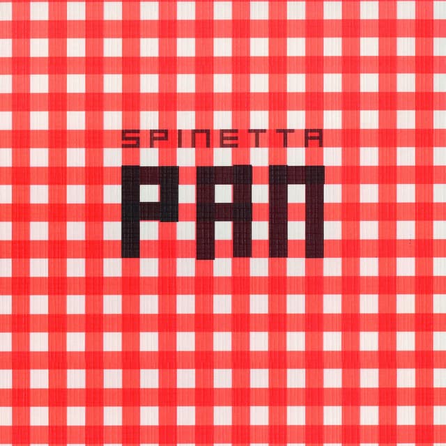 Pan cover