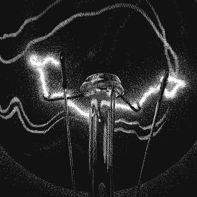 Light Pollution cover