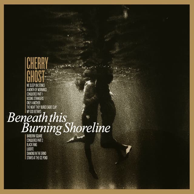 Beneath This Burning Shoreline album cover