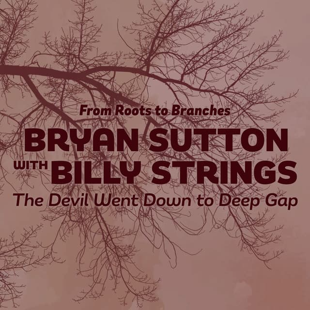 The Devil Went Down to Deep Gap cover