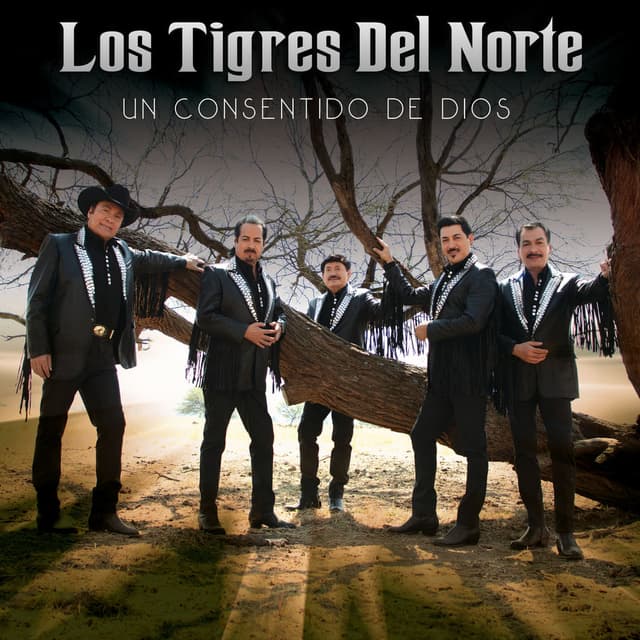 Un Consentido De Dios cover