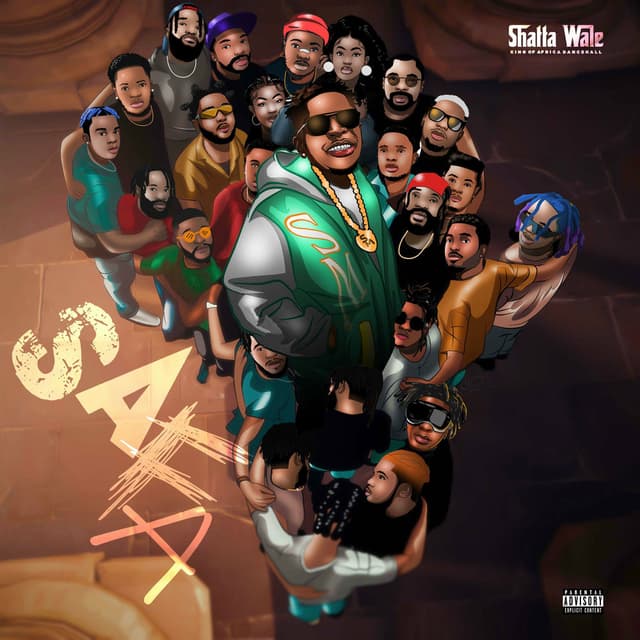 SAFA cover