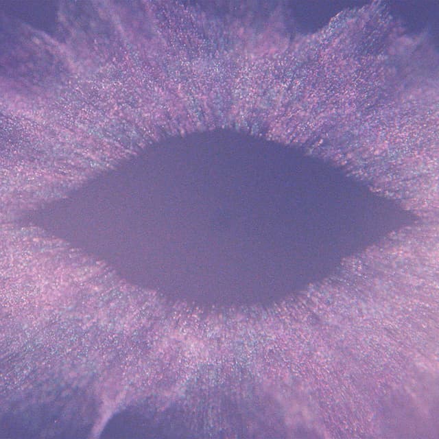 Music For Psychedelic Therapy (Excerpt) cover
