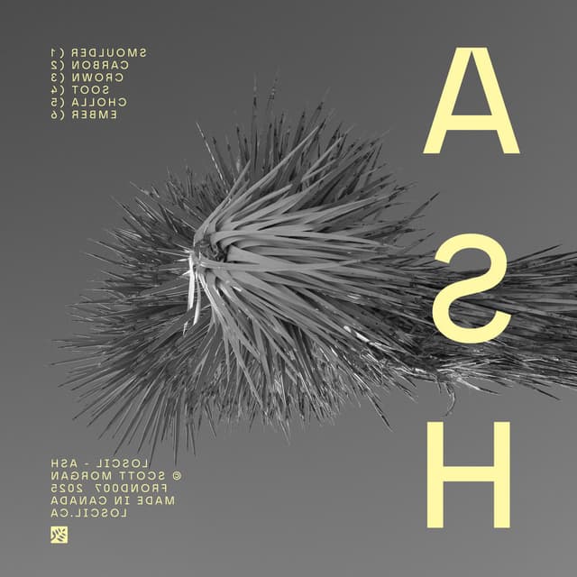 Ash cover