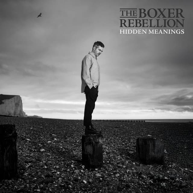 Hidden Meanings cover