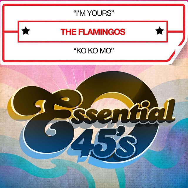 I'm Yours / Ko Ko Mo cover