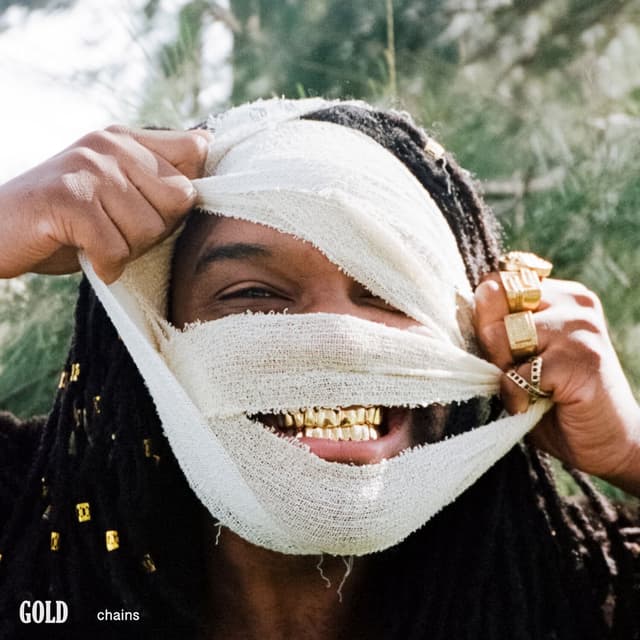 Gold Chains cover