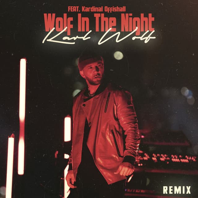 Wolf In The Night (Remix) cover