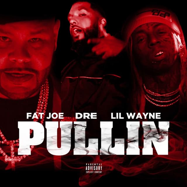 Pullin cover