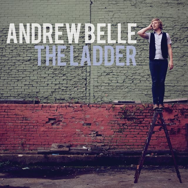 The Ladder album cover