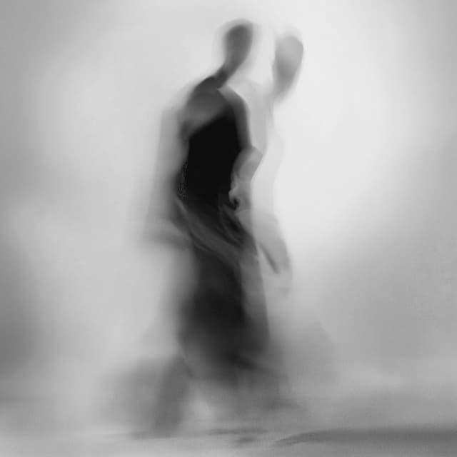 Echo Chamber cover