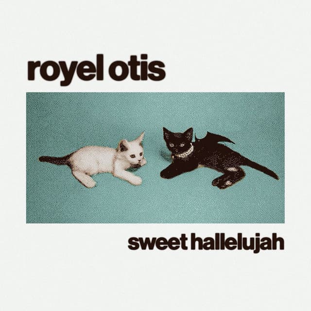 Sweet Hallelujah cover