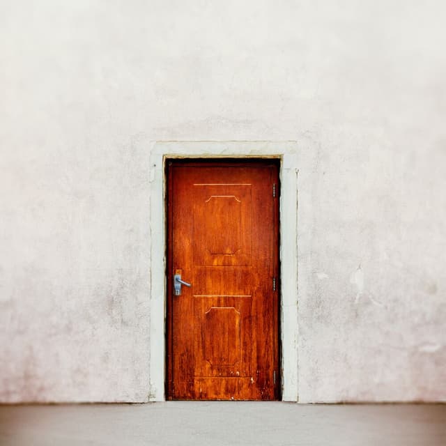 The Door (Stripped) cover