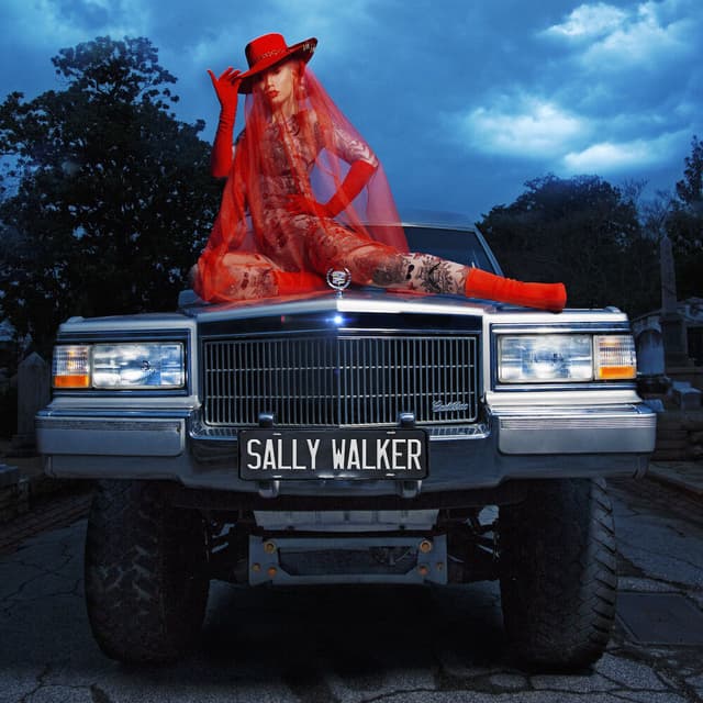 Sally Walker album cover
