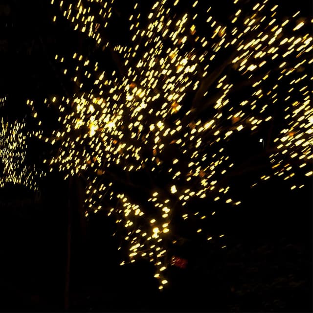 We Shine at Night cover