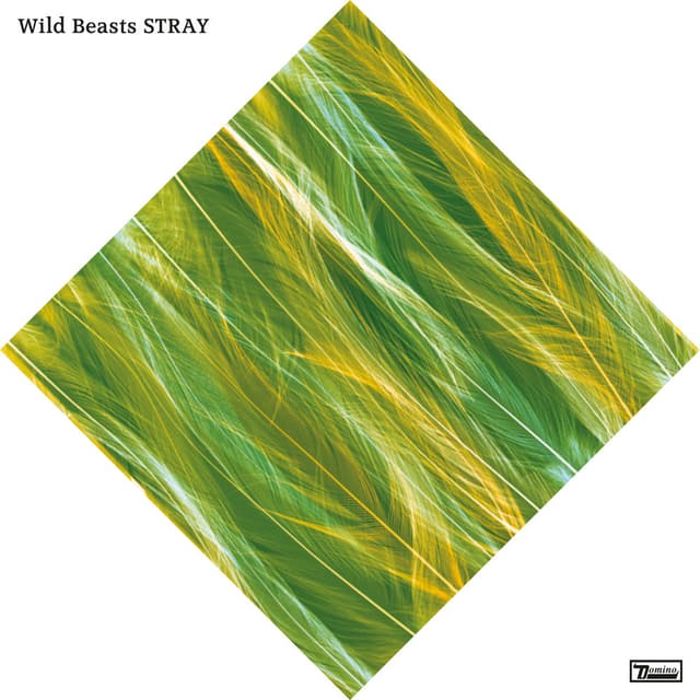 Stray cover