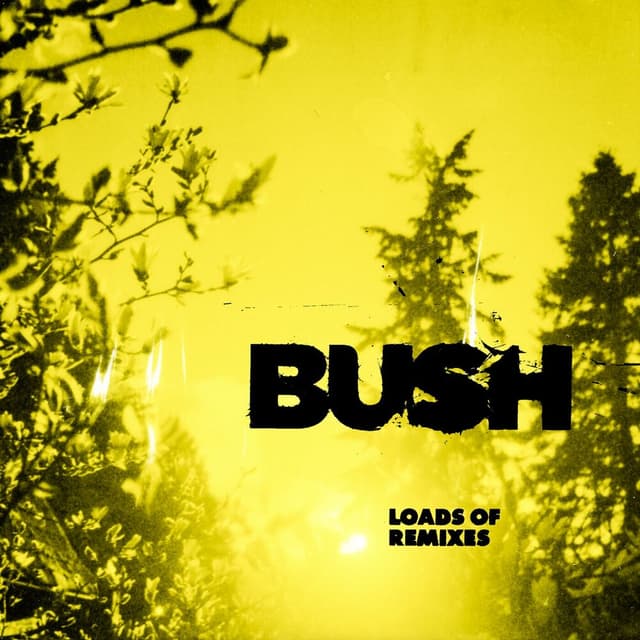 Loads Of Remixes cover