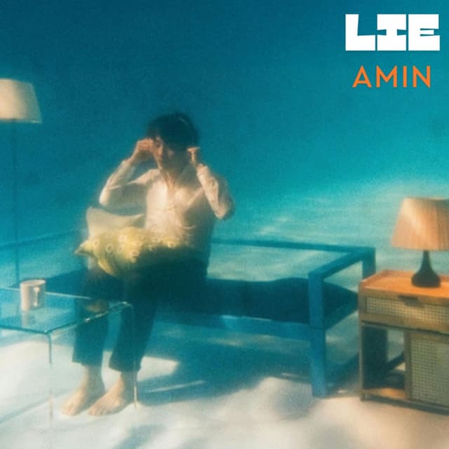 Lie cover