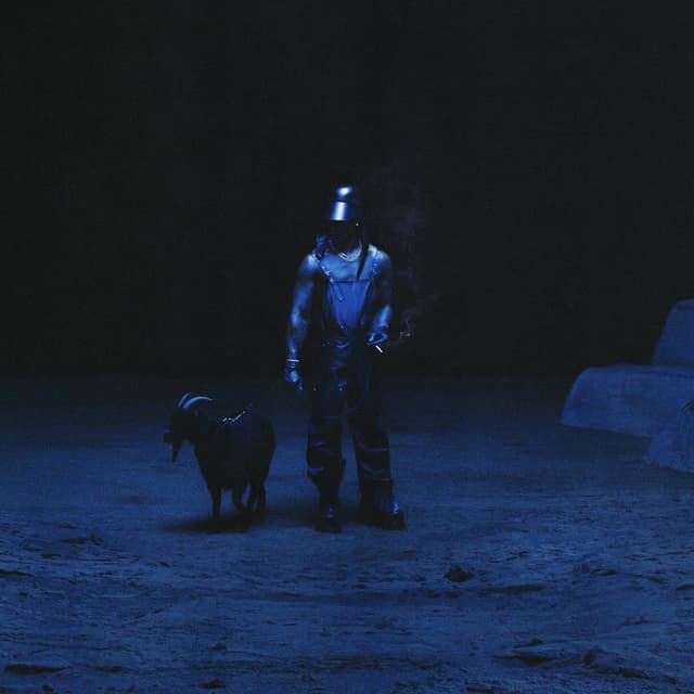 Bodies cover